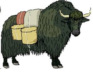 Yak